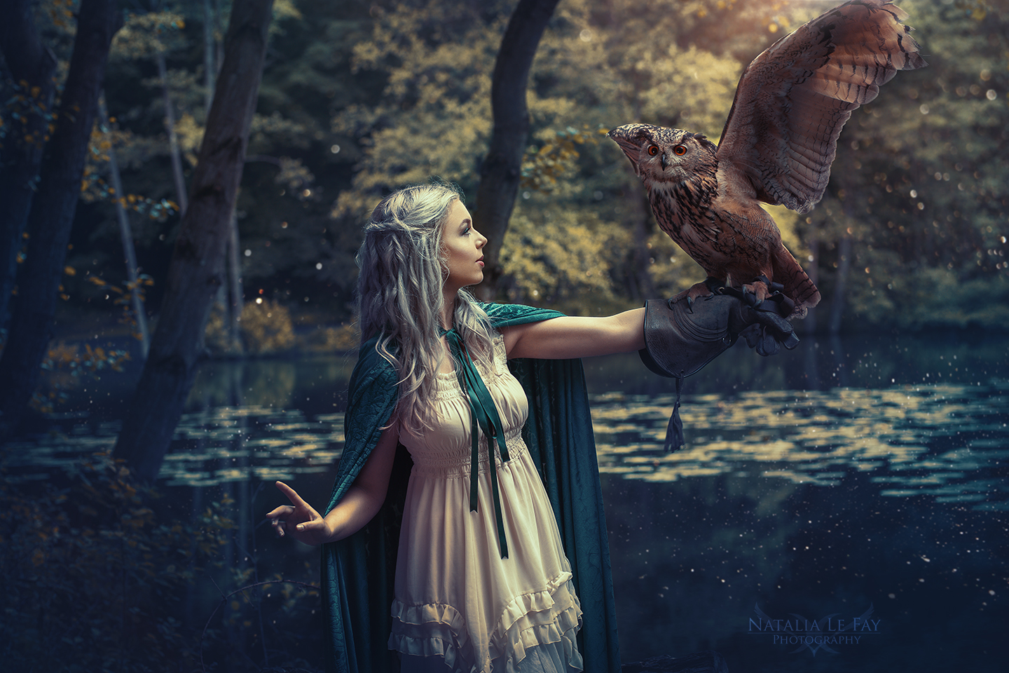 Eulen Greifvogel Eulenshooting Fotografie Shooting Tierfotografie Fantasyfotografie Fantasy Shooting Greifvogel-Fotoshooting - Tipps zum Umgang mit Vögeln